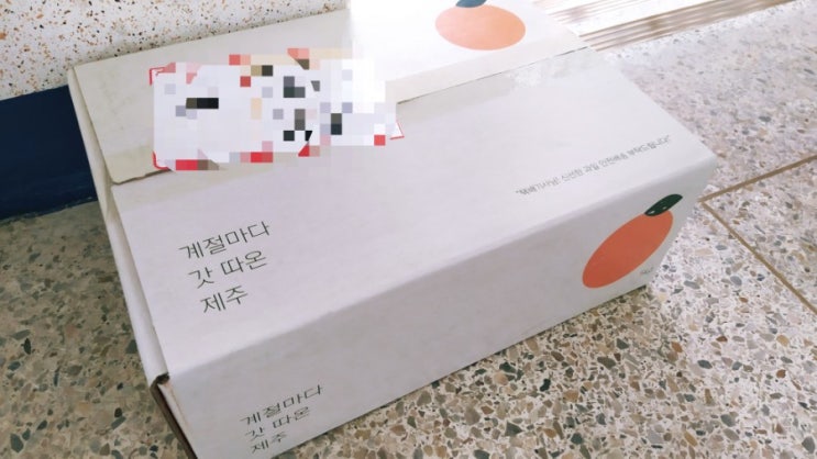  카톡 선물 :: 고당도 제주감귤