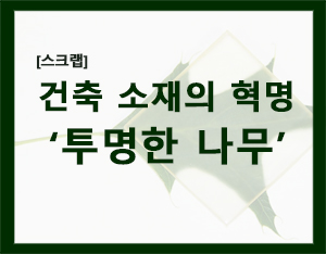  [스크렙]친환경에 단단, 유리보다 큰 단열효과 ‘투명한 나무’ 개발…건축 소재의 혁명