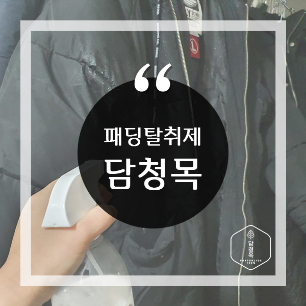  패딩탈취제 용도로 적합한 담청목, 딱이네!