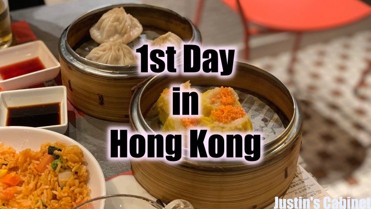 2019.12.20 지금 홍콩가도 괜찮을까? #1. 홍콩 여행 1일차