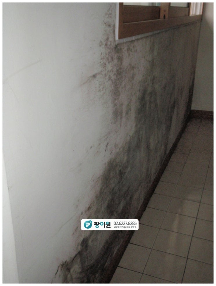  겨울 베란다 곰팡이제거 시급하다면?
