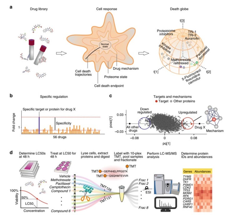  표적단백질을 이용한 암연구 (cancer research)를 위한 Free tool