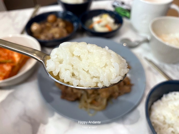  바른먹거리  무농약 친환경 명품쌀 전남 강진쌀 천명(天命)후기, No Japan No 고시히카리
