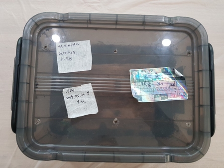 [Bs] 극태왕사슴벌레 산란 해체 기록용 K-3B