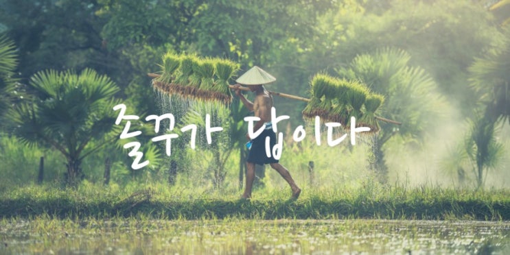  2019 결산을 하면서,