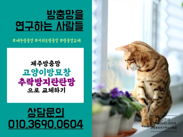  제주 고양이방묘창 추락방지탄탄망으로 고양이방충망 교체!