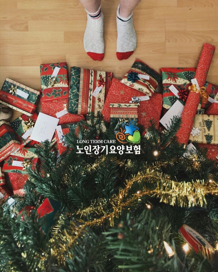  입주요양 24시간 입주요양보호사 활용 안내