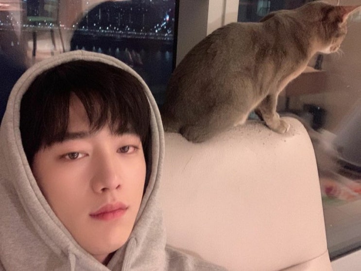 크리스마스에 고양이 보는 서강준 크리스마스에 고양이 보는 서강준