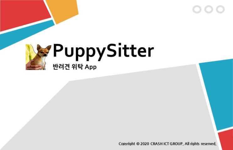 PuppySitter App 개발 도전.. 퍼피시터