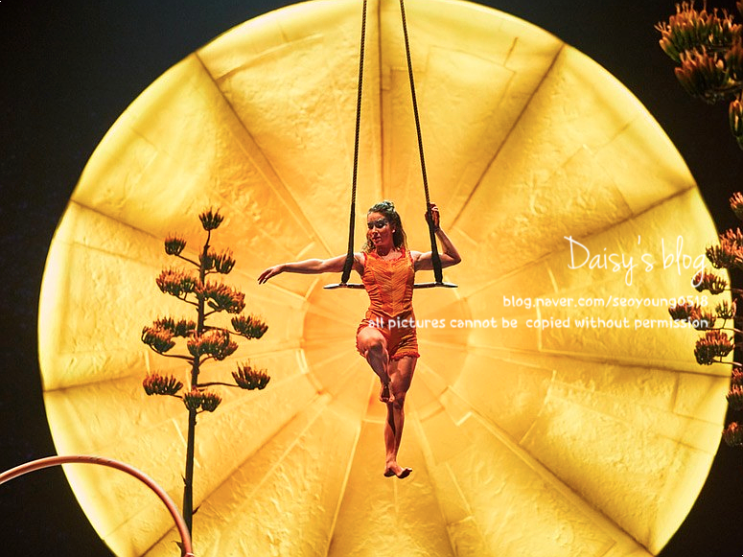 #밴쿠버여행 - Cirque du soleil(태양의서커스) LUZIA투어공연