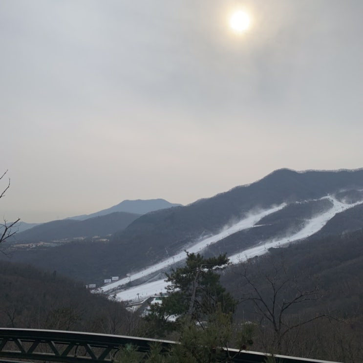 경기도 광주 화담숲에서 겨울분위기 만끽하기 :: 곤지암리조트가 바로옆이자나! 스키타고싶자나!