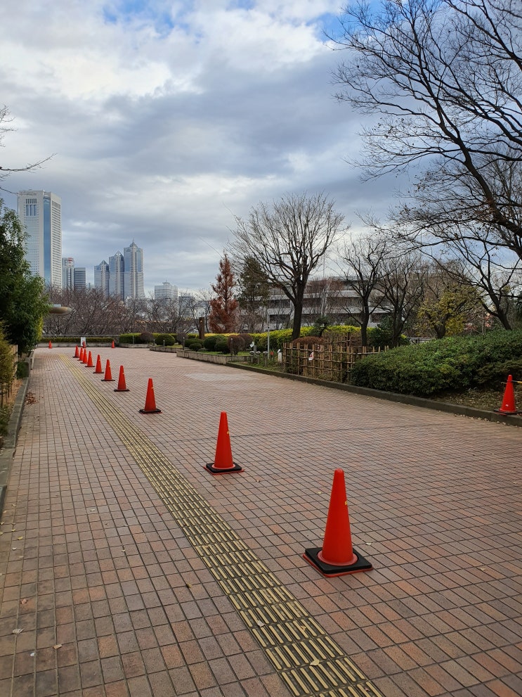 혼자 떠나는 도쿄 투어 6일차(12/25) 요요기 공원 및 하라주쿠