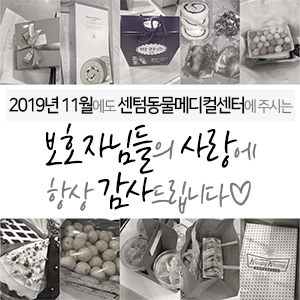  2019년 11월에도 센텀동물메디컬센터에 주시는 보호자님들의 사랑에 항상 감사드립니다 (부산 수영구 남구 연제구 분과 전문 동물병원)