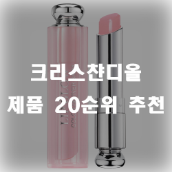  크리스챤디올 20가지 모음 구경하세요