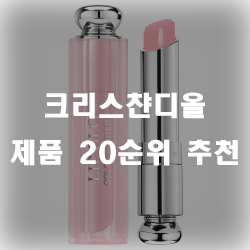 크리스챤디올 20가지 모음 구경하세요