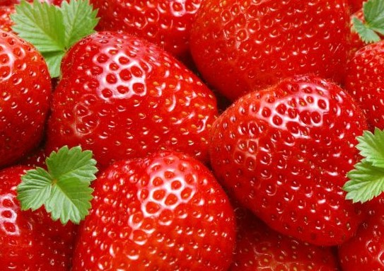 [과일정보] 딸기의 효능과 영양성분 그리고 좋은 딸기 고르는법과 보관법에 대해 알아보자.