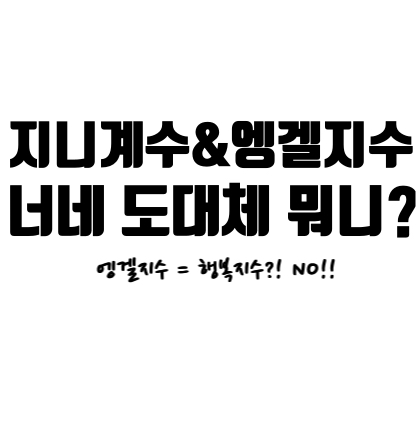 [지니계수 & 엥겔지수] 너 많이먹어 행복하니? 요거 맞는말이야?! 어렵지 않아, 제대로 알고가자!