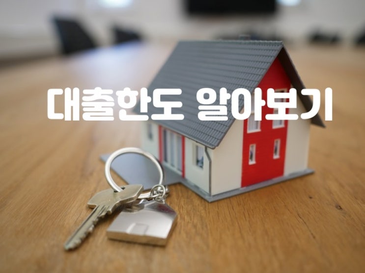  대구 현대해상 보험사 담보대출 한도 상담받았어요
