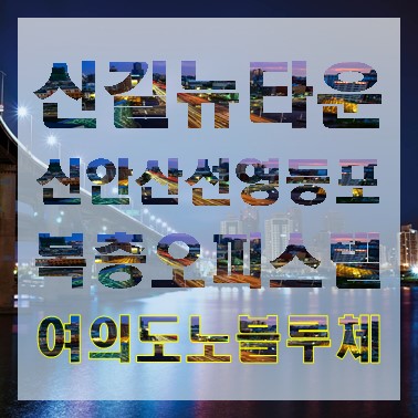  여의도 직장인들의 로망 영등포역 1.5룸 복층 오피스텔 여의도 노블루체 91