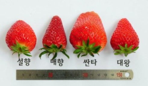 어부횟집 사진 5