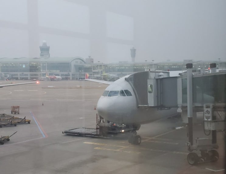  OZ369 아시아나항공 인천(ICN) to 광저우(CAN) 탑승기