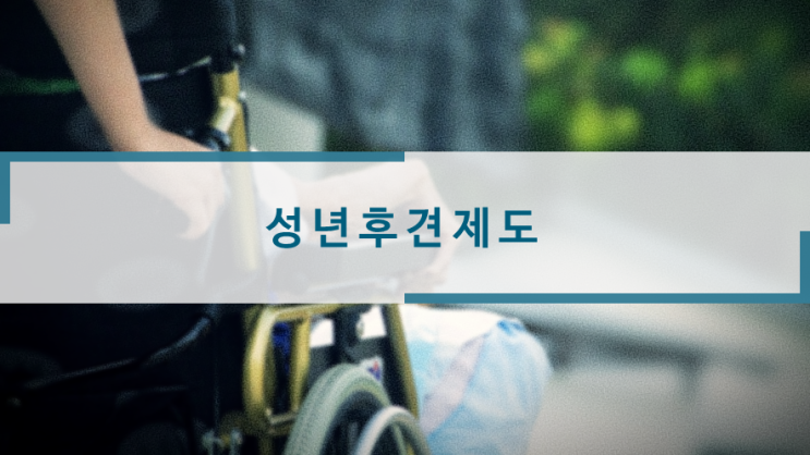  성년후견제도 : 2018 전문직 성년후견 양성 전문연수 수료