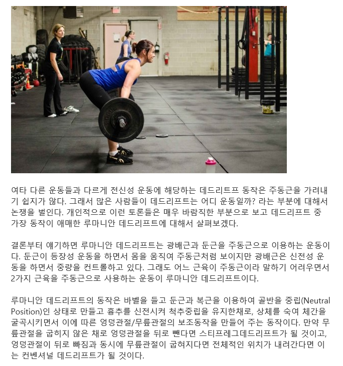 루마니안 데드리프트는 어디운동일까? : 네이버 블로그