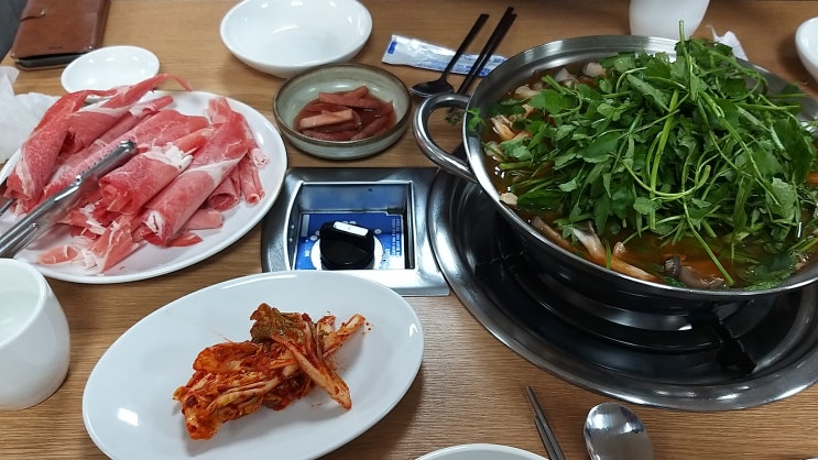  귀농일기 며칠 휴식 후 바빴던 하루