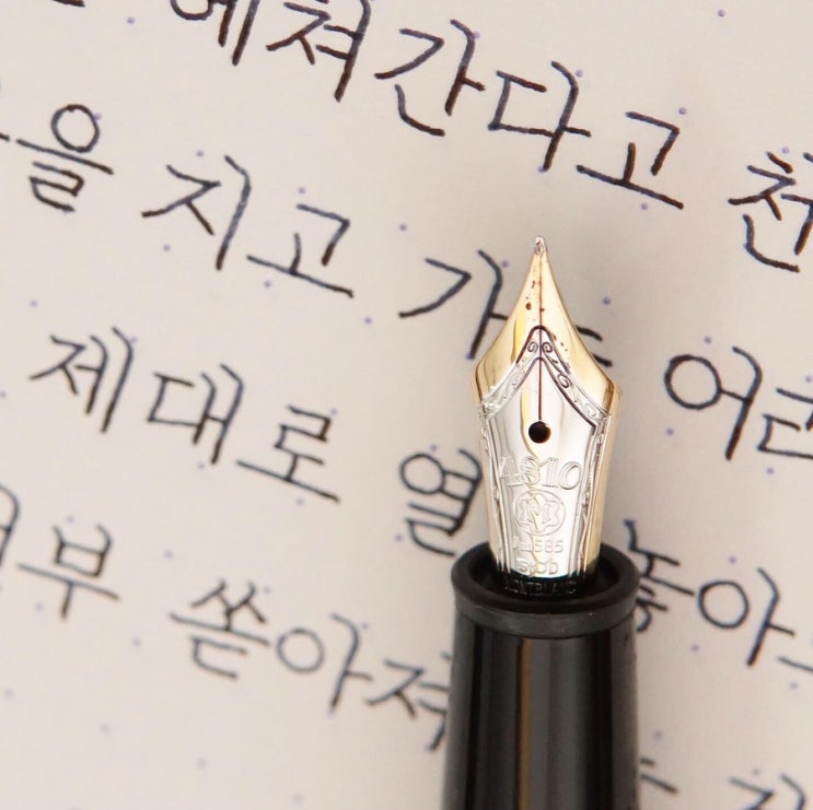 창문만 열어도... (몽블랑 마이스터스튁 145 ef닙)