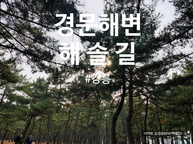  강릉 경문해변 해솔길