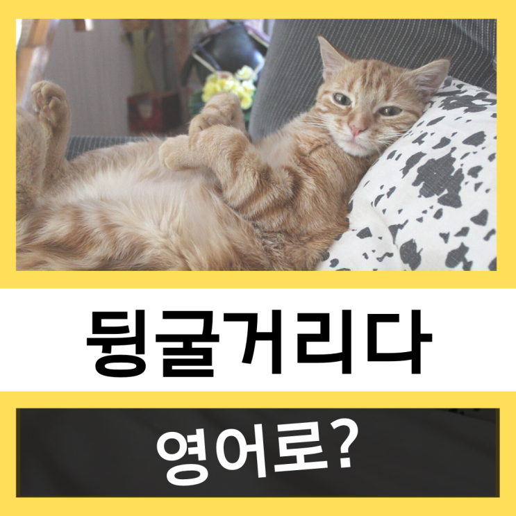 뒹굴뒹굴, 뒹굴거리다 영어로? #왕초보 영어훈련소