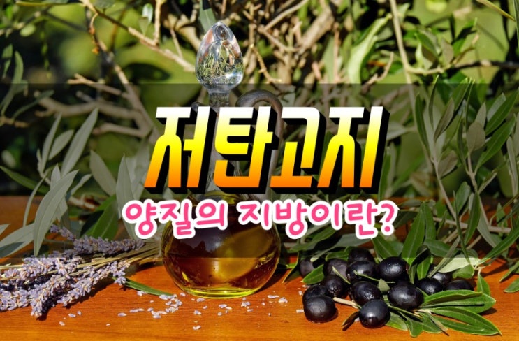  케톤식 제대로 알고하기 - 양질의 지방 공개