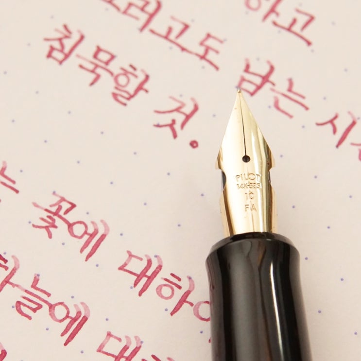  침묵할 것 (파이롯트 커스텀 742 fa닙)