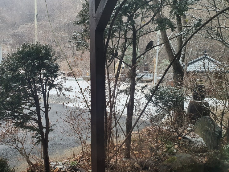 양평가족펜션 산사랑펜션 겨울 눈꽃