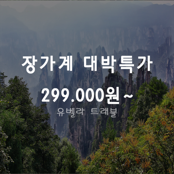  [특가][부산출발]장가계 3박4일 4박5일 패키지 여행 에어부산