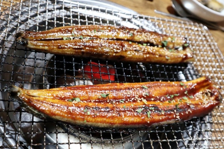  성서공단 장어 맛집 전라도장어마을 민물장어로 몸보신 하기좋은 대구 호산동 장어 태봉이