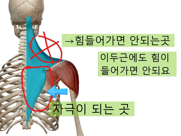 어깨,허리통증에 필수적인 스트레칭 법 모음입니다. [영통 새움한의원]