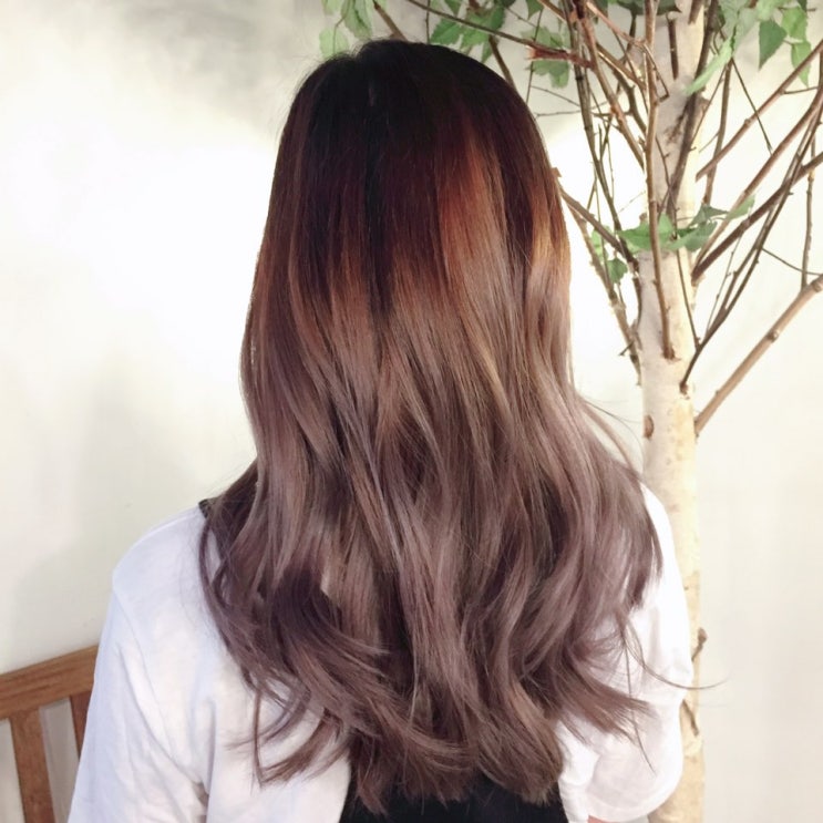 홍대미용실 까헤어 탈색염색 옴브레 스타일 머쉬룸 블론드 컬러  seoul hair salon ash violet grey color