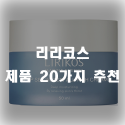 리리코스제품 20가지 추천 리리코스제품 20가지 추천