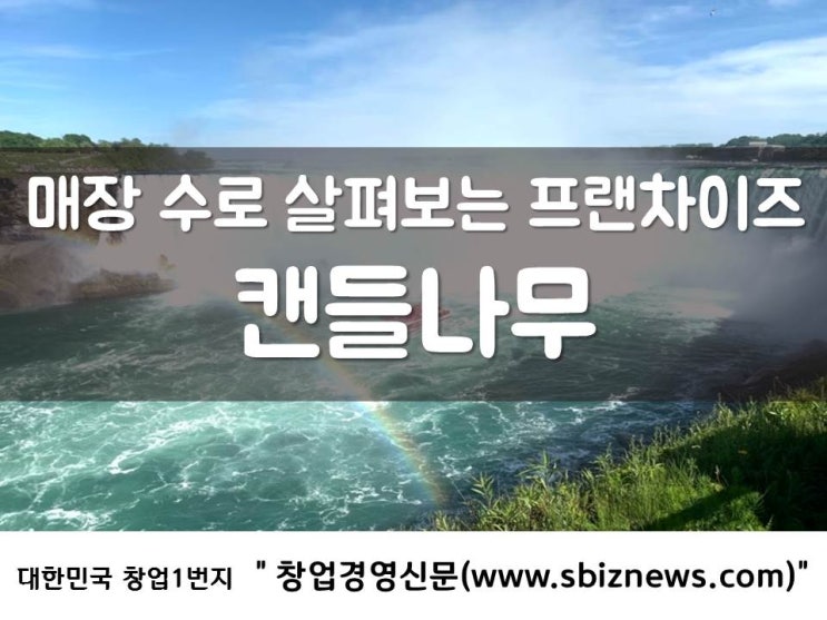  매장 수로 살펴보는 프랜차이즈 ‘캔들나무’
