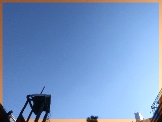  쉿! 씨크릿 감사일기 29일                   독감 뚝!