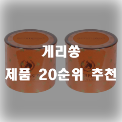  게리쏭 쏭~ 제품 써보셨나요~ 추천 순위