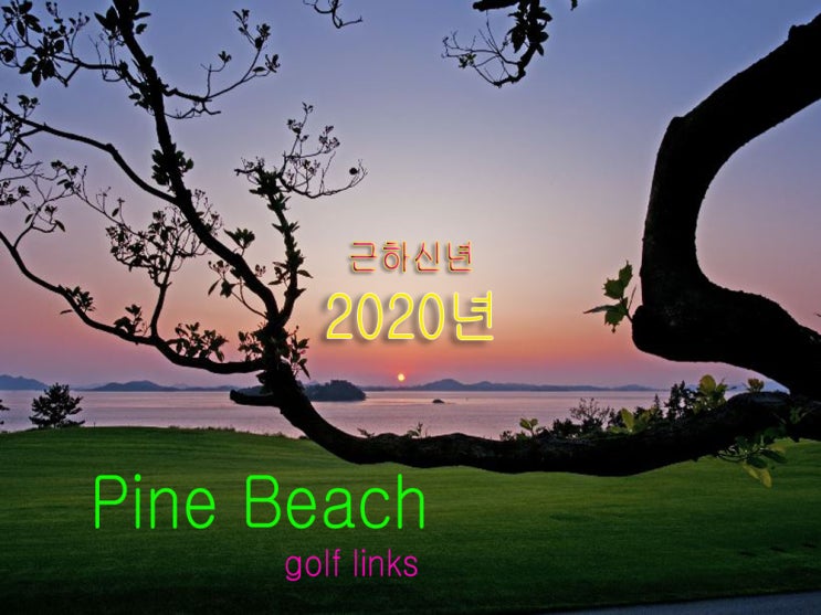  전라남도 골프장 해남 파인비치 cc 2020년 2인플레이