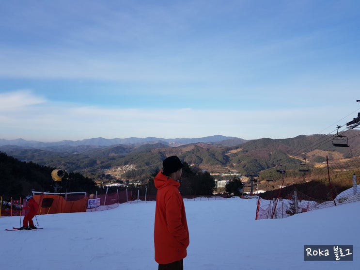  웰리힐리파크 렌탈샵 내돈내산 솔직후기