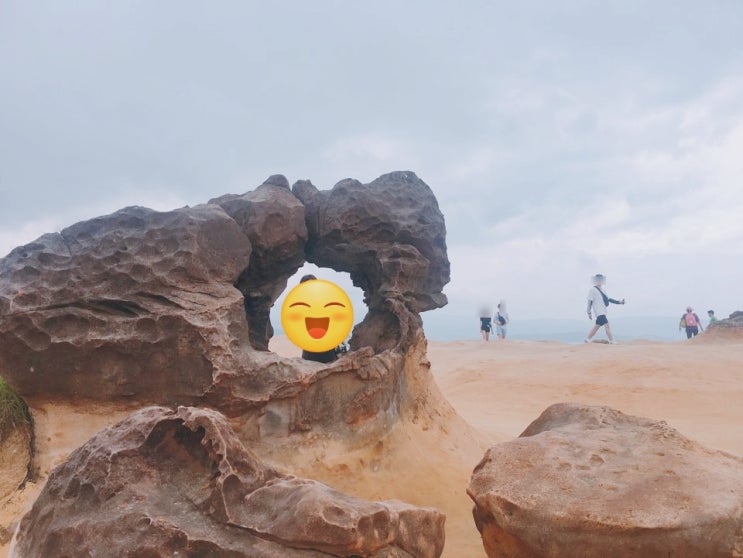  대만 여행 예스지 버스투어