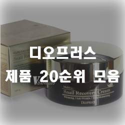  디오프러스 제품 써보셨나요? 20순위 추천 리스트 입니다.