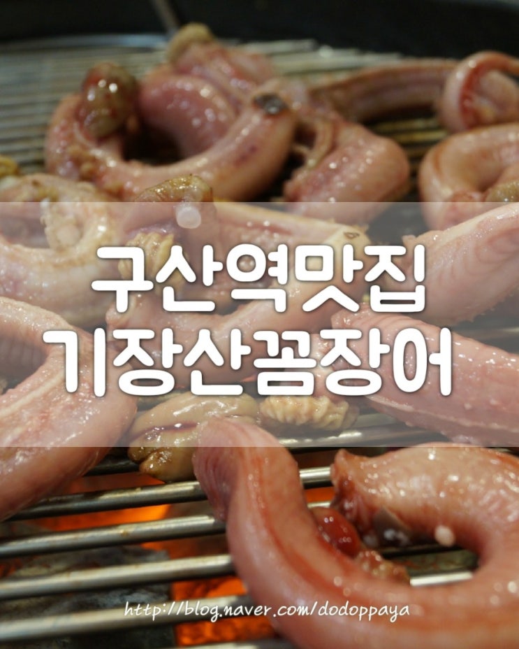  구산역 맛집, 싱싱해서 더 맛있는 갈현동 기장산꼼장어