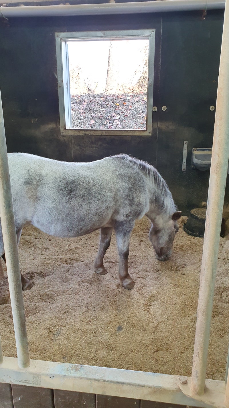 훈련 울타리 팀 싸움에서 칼 스포츠 선수 초상화 및 무료 다운로드를위한 그림 - Pngtree, image size:800x1422