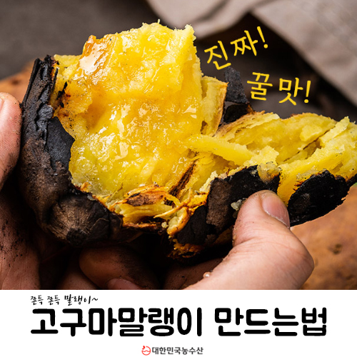 고구마말랭이 만드는법 (고구마도 중요)