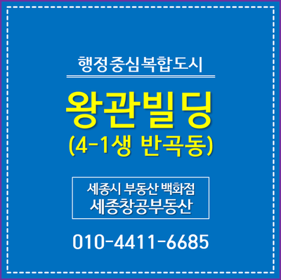  세종시 상가, 4-1생활권 반곡동 왕관빌딩